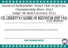 12.A.2. CH. LIBERTYS CALIBRE OF RIZENSTAR (IMP USA).png